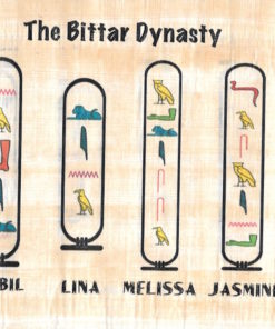 name in Hieroglyphs